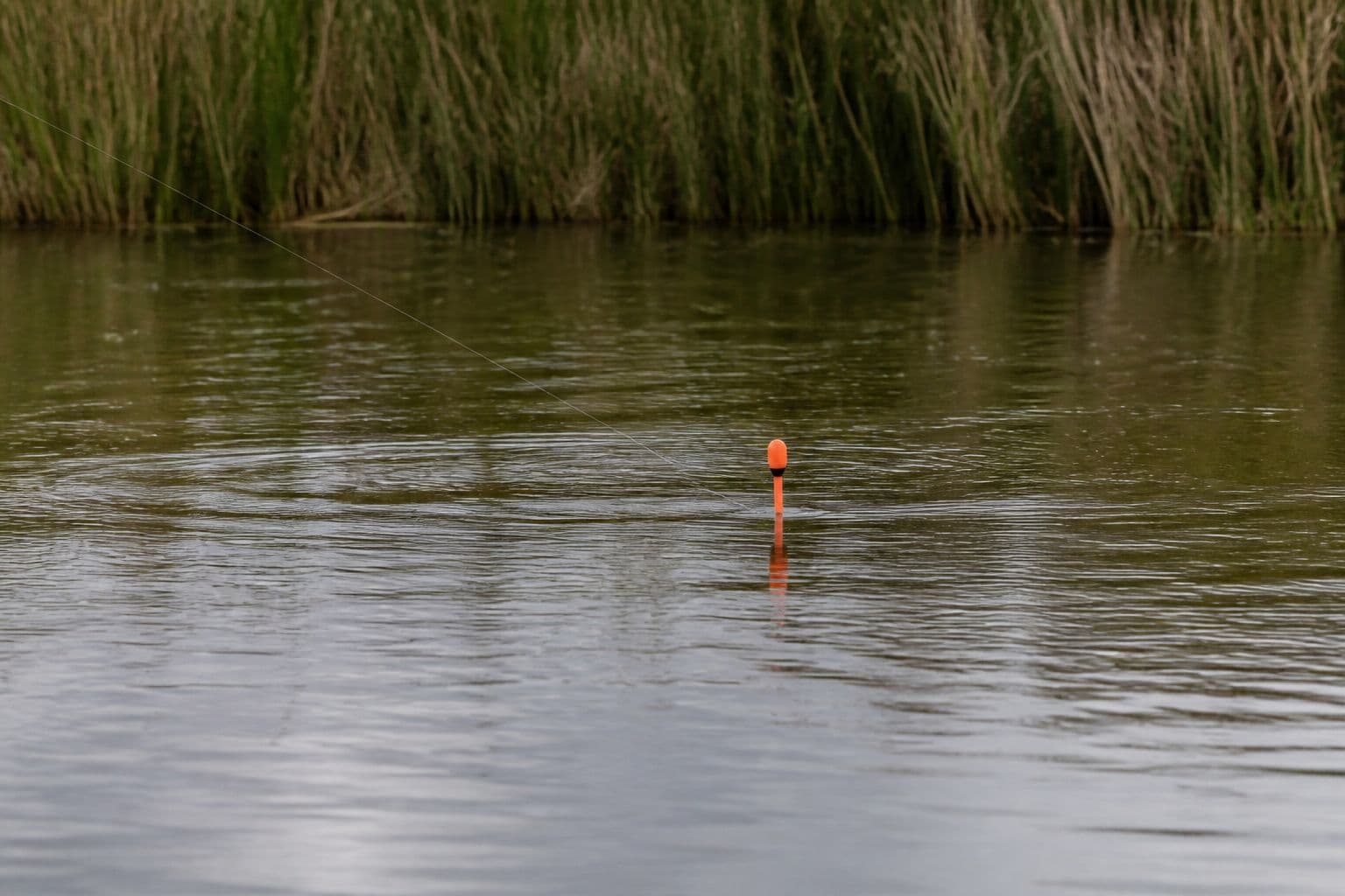 A marker float sitting on a carp lake while an angler maps the swim with a feature-finding lead